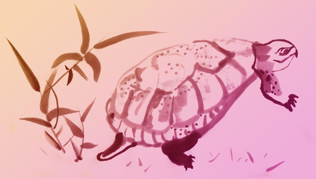 Schildkröte mit Lo-Shu