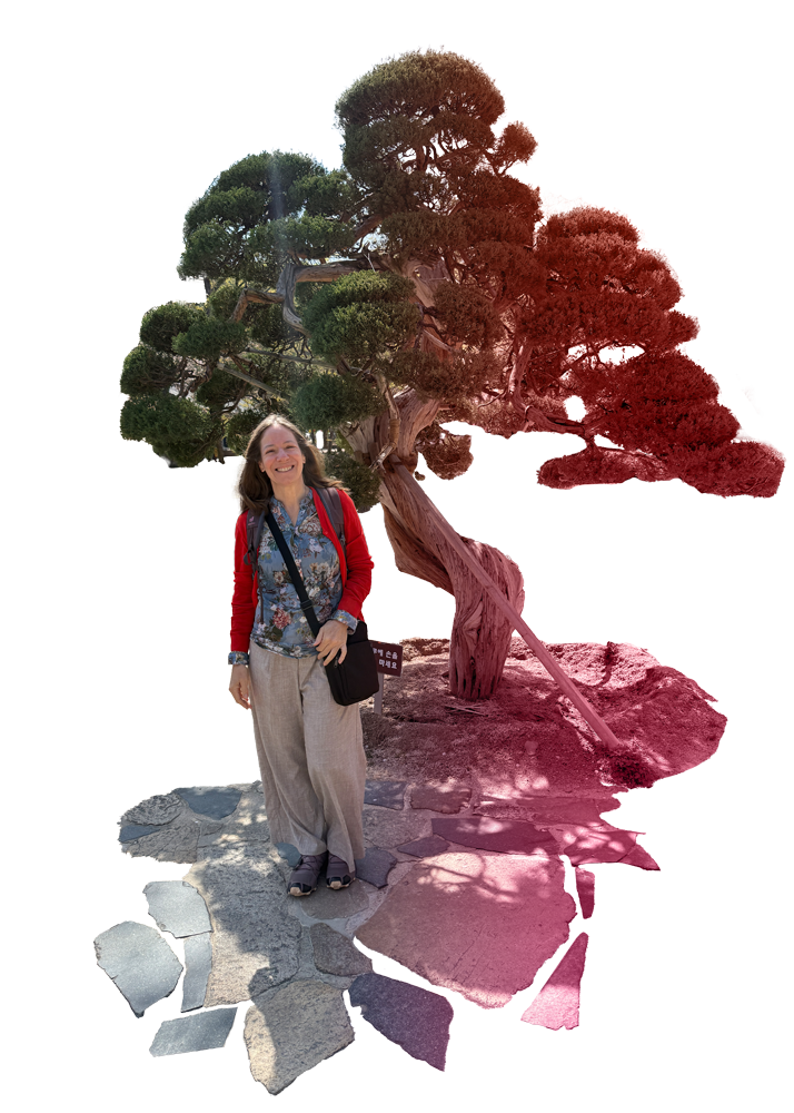 Sabine Gröner unterrichtet Tao-Geomantie